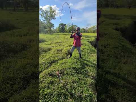 pesca de blanquillo puerto parra Santander