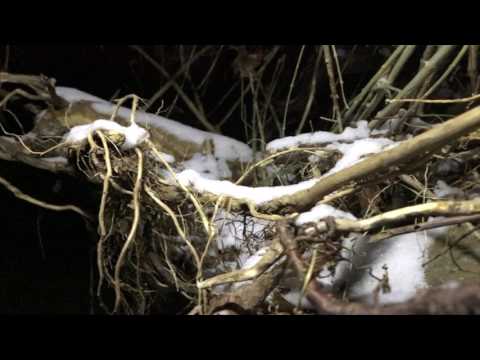 Akron Metropark drone video!! (MOVIE TRAILER?!)