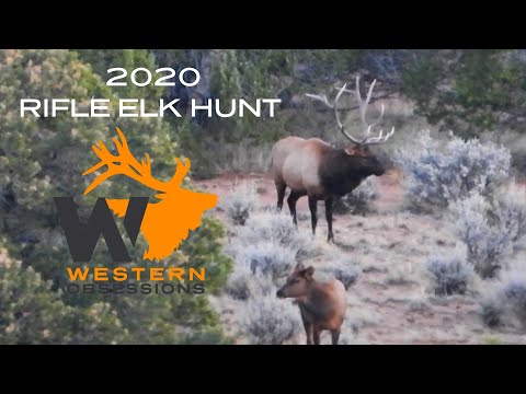 In Search of a MONSTER Bull Elk in Western Colorado - Beth's 2020 Elk Hunt