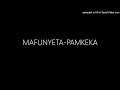 MAFUNYETA PAMKEKA