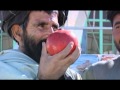 Pomegranate Export Marks Progress For Afghanistan