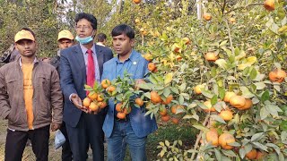 মোটিভেশনাল ট্যুর- মাল্টা ও কমলা বাগানে একদিন, (মনামিনা কৃষি খামার ও হর্টিকালচার সেন্টার চাঁপাইনবাবগঞ্জ)