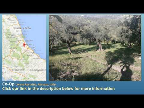 Co-Op for Sale in Loreto Aprutino, Abruzzo, Italy on italianlife.today