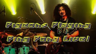 Pigeons Playing Ping Pong "Burning Up My Time" Live! 2/8/18 HD