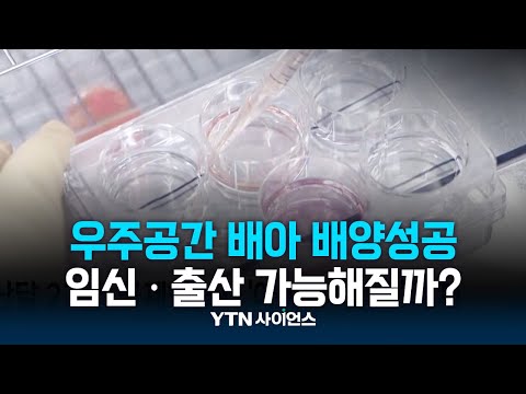 , title : '우주공간에서 배아 배양 성공...임신·출산도 가능해질까? | 과학뉴스 23.11.13'