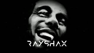 Bob Marley - Three little birds (RayShax remix)