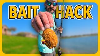 This Fishing Bait Is Almost TOO GOOD!