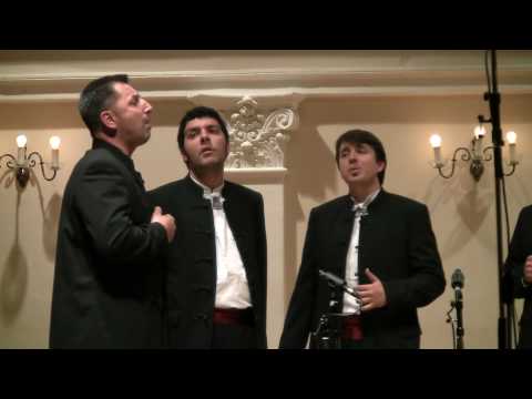 Klapa Petrada - Ne pitan ti biser zlato 21-5-10 HGZ