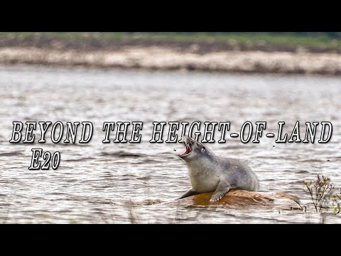 Beyond the Height-of-Land E.20 - BABY SEALS & ICE CANYON | 25 Days in the Northern Manitoba Wild