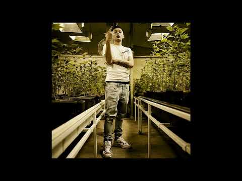 [FREE] Trenchmobb Type Beat 2021 "Top Dawg" (Prod.Alexrunitback X Alyx)