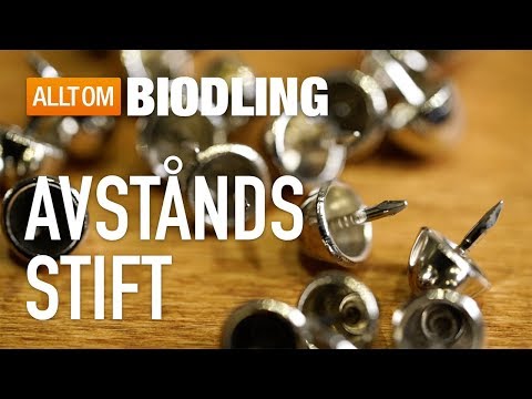 Avståndsstift - Biredskap - Biodling