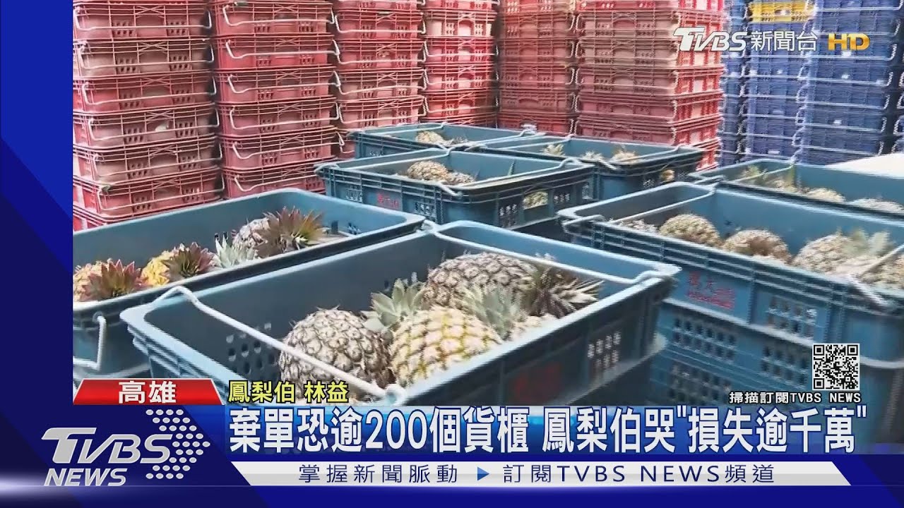 棄單恐逾200個貨櫃 鳳梨伯哭「損失逾千萬」