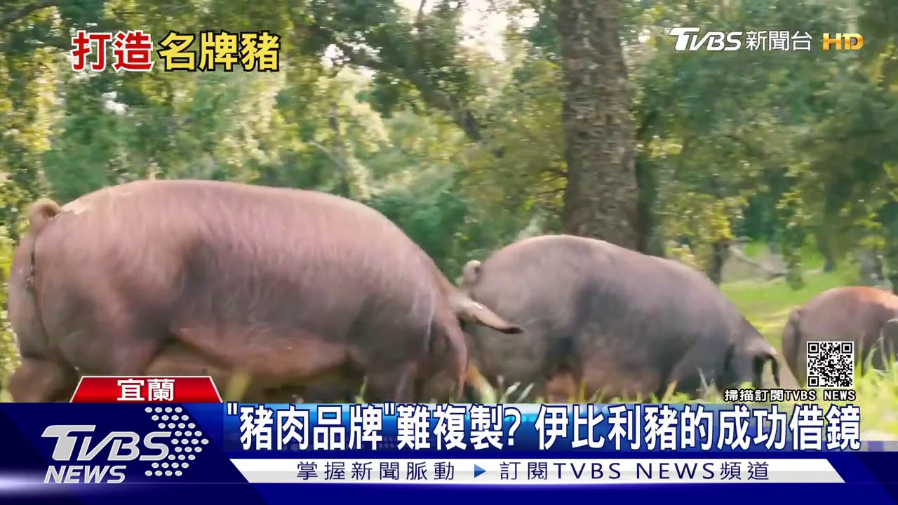台灣養的「名牌豬」！　品牌化之外的行銷術