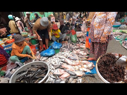 Cambodian Routine Foods @ The Market - Raw Meat, Fishes, Desserts, Vegetables | Samedy Daily Life