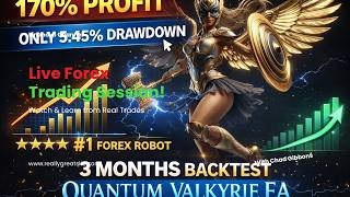 Quantum Valkyrie MT5 EA Backtest | 170% Gain in 3 Months | Only 5.45% Drawdown 🔥