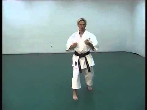 032 Shito Ryu - Unshu