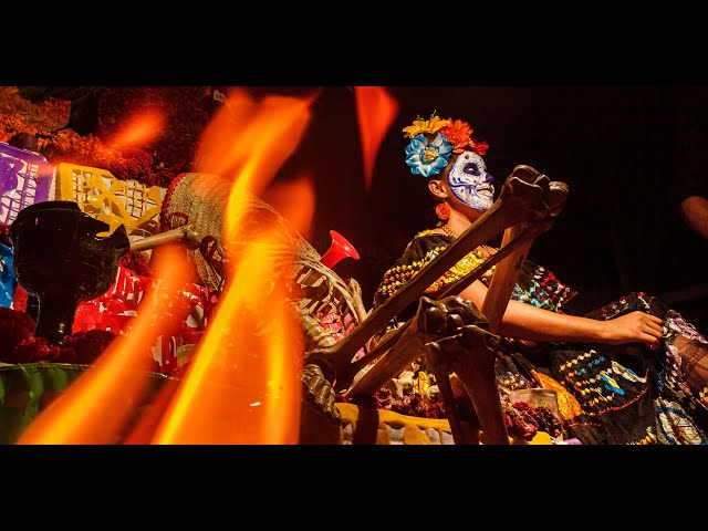 Dia de Muertos Day of the Dead 💀🍂 | Sandos Caracol Eco Resort Dia de Muertos Day of the Dead 💀🍂 | Sandos Caracol Eco Resort