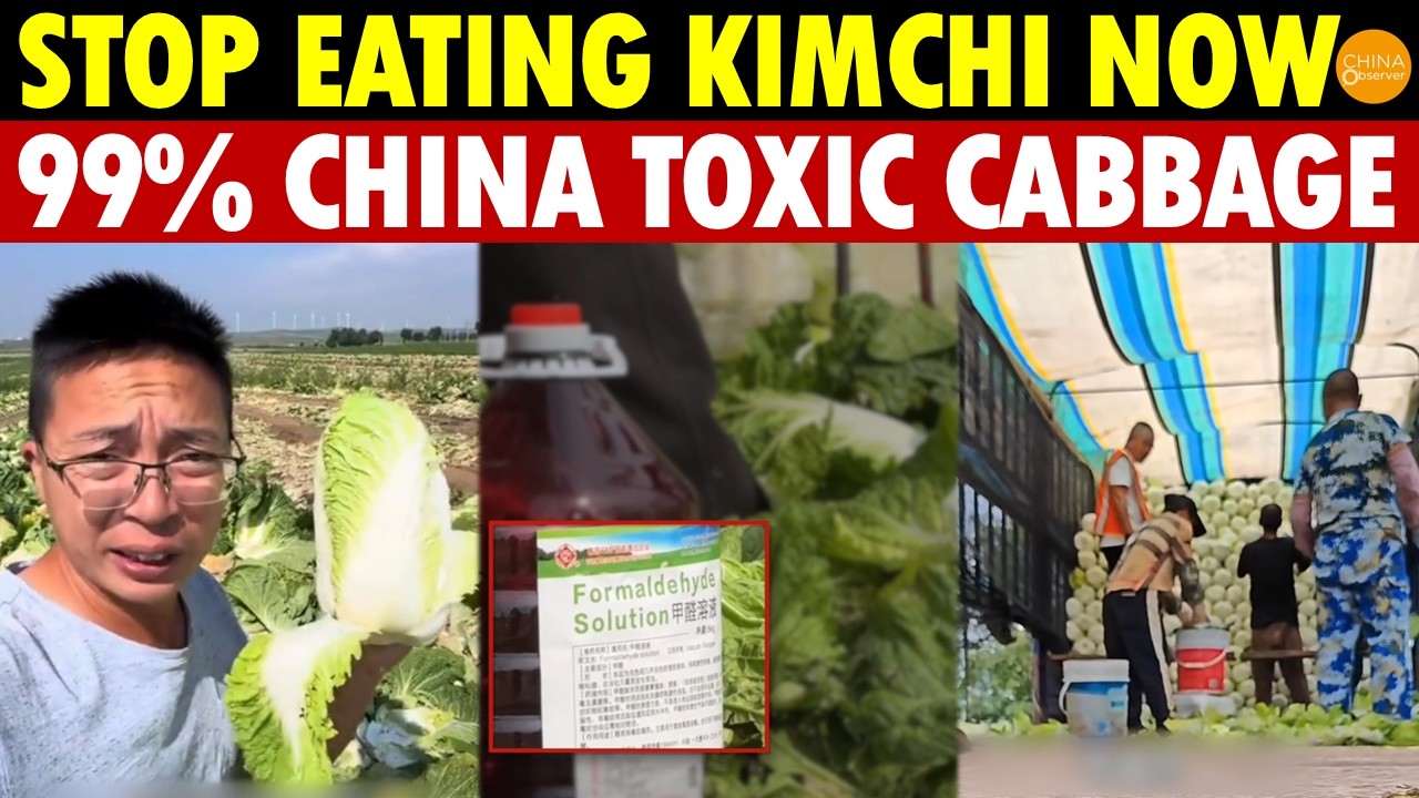 Warning! Stop Eating Kimchi: 99% Imported From China With Cancer-Causing Formaldehyde Cabbage