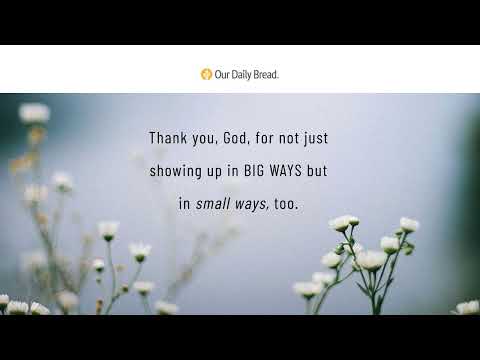 God in the Details | Audio Reading | Our Daily Bread Devotional | October 20, 2022