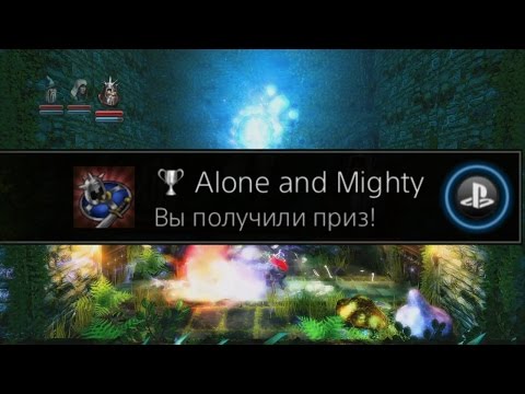 Trine: Enchanted Edition - Alone and Mighty Trophy / Achievement.