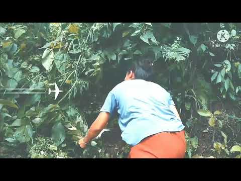 new nepali beautiful deuda https://www.youtube.com/channel/UCCH2vAng_OXgwiBVsUN2ncQ