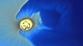 Seu Jorge & Almaz -errare humanum est