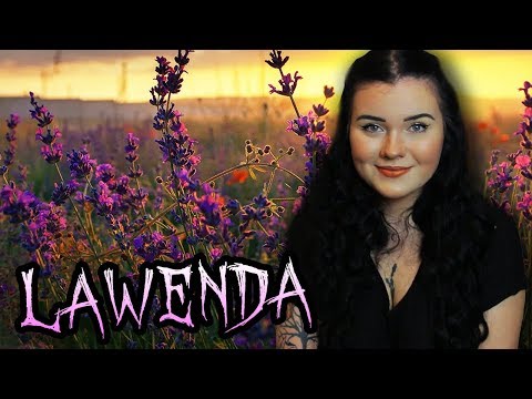 Oznacza o objętość sierści u korzeni Maska do włosów łopian opinii żółtko