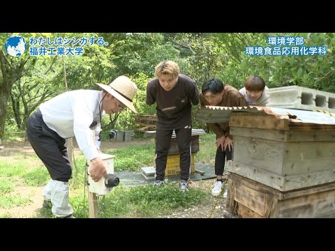 わたしはシンカする。養蜂システム