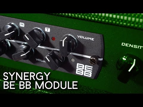 Best of both worlds! Synergy Brown Eye & Buxom Betty Module