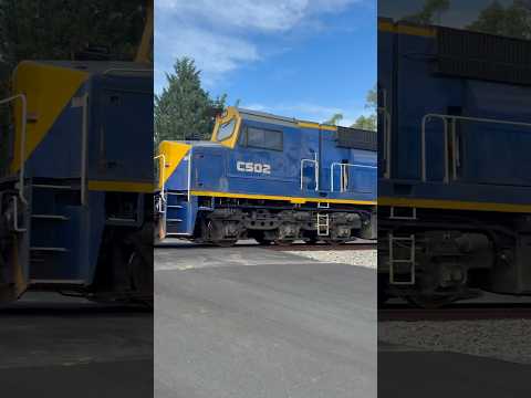 TRAINS AM22 SCT 6PM9 taking 3 'C' class locos to SSR at Blakiston CSR14 CF4430 CSR13 CF4429 30/12/24