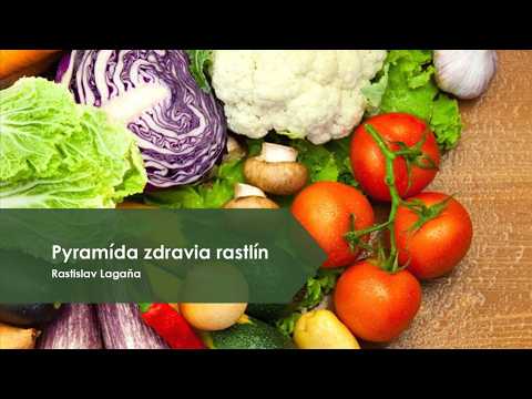 Pyramída zdravia rastlín