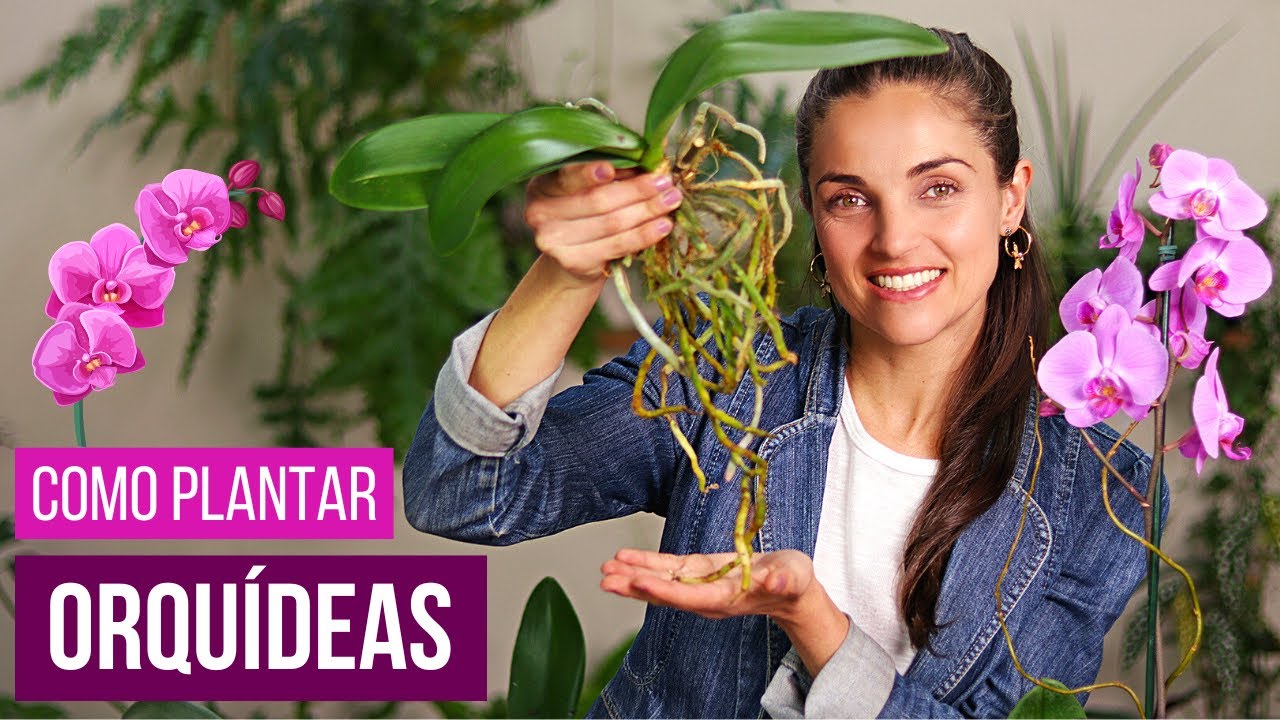 COMO PLANTAR ORQUÍDEAS 🌸 PASSO a PASSO e as MELHORES DICAS de CULTIVO