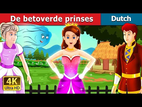 De betoverde prinses | The Enchantment Princess Story in Dutch | Dutch Fairy Tales
