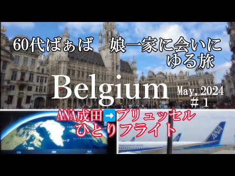 Nuvola アプリの日付.svg