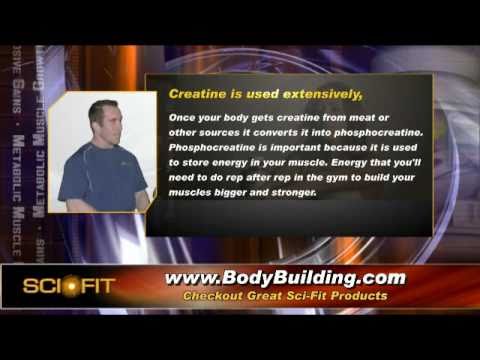 SciFit Supplement Review Show - Episode 03 - Kre-Alkalyn