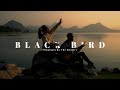Dinda Kirana - Black Bird (The Beatles Cover)