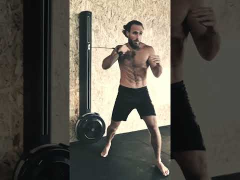 Introducción larga a PowerPuncher