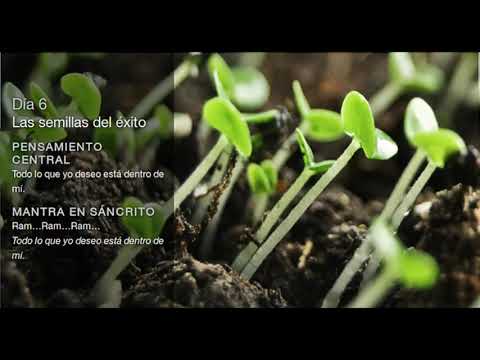 Deepak Chopra-Día 6 Reto de Meditación Creando Abundancia
