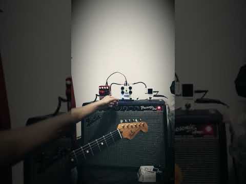 Fender Strato USA, T-Rex Hobo Drive, Vox Double Deca Delay, Fender Prosonic