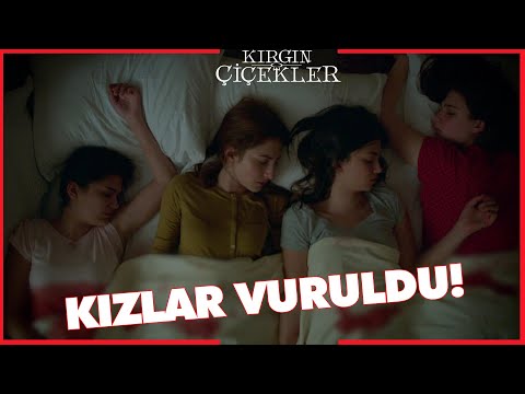 Kırgın Çiçekler Özel Kısa Bölümler | 166
