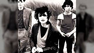 10. Little Johnny Jewel (Television cover, 1987) / Siouxsie And The Banshees At The BBC (CD2, 2009)
