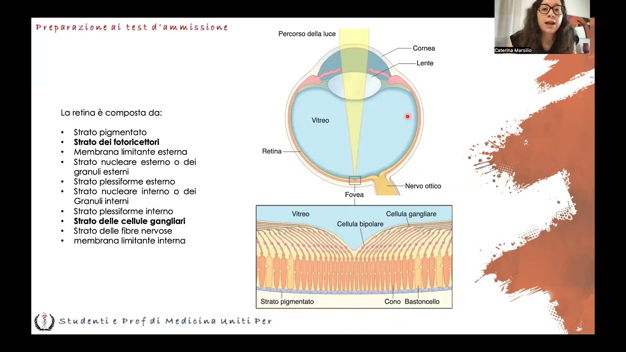 Anatomia e Fisiologia - Occhio