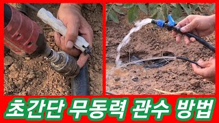 초간단 무동력 관수~ 메마른 홍감자밭 관주작업 스프링 클러 자재와 농수관 으로 귀농귀촌 전원일기 텃밭 주말농…