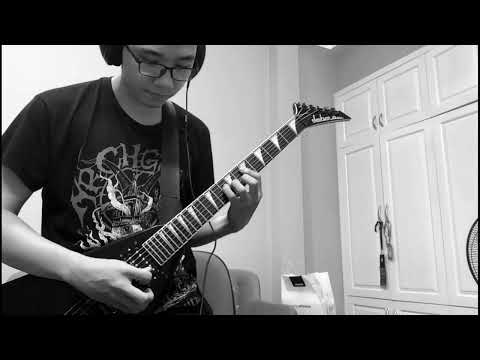 Misþyrming - Ísland, Steingelda Krummaskuð Guitar Cover