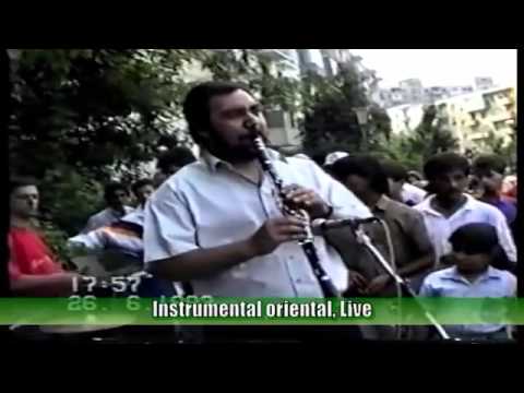 FORMATIA DAN ARMEANCA, INSTRUMENTALA