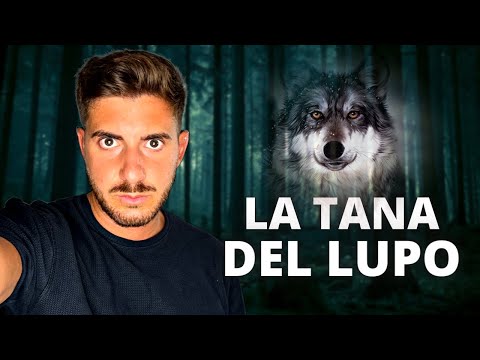 Il BUNKER SEGRETO di Adolf Hitler tra i Laghi della Polonia