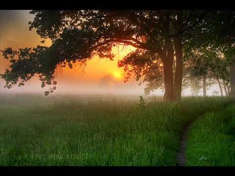 Groovecatcher - Intoxicated