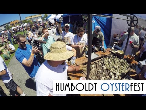 download lagu mp3 mp4 Oysterfest Arcata, download lagu Oysterfest Arcata gratis, unduh video klip Oysterfest Arcata