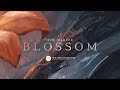 Ben Walter - Blossom [New Dawn Collective]