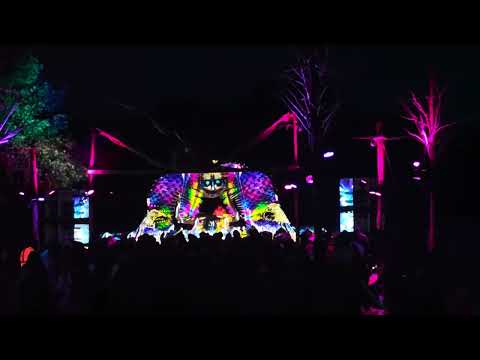 inner coma live at camakavum festival 2024